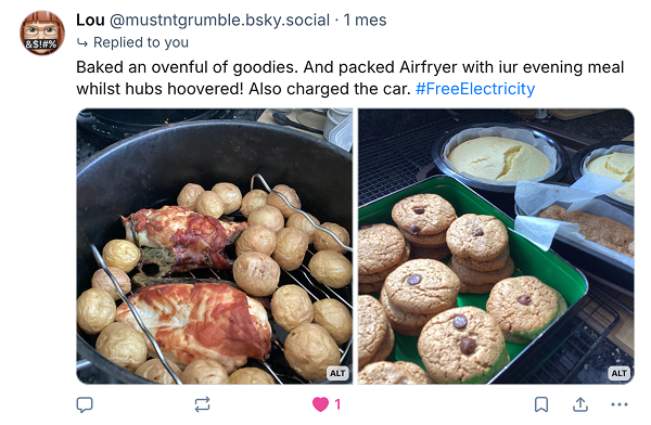 User mustntgrumble on BlueSky used Free Electricity to bake an ovenful of goodies
