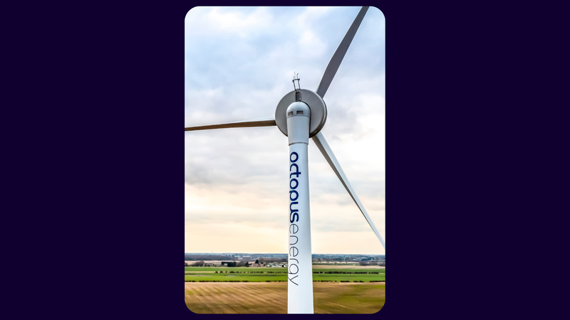 Octopus energy wind turbine