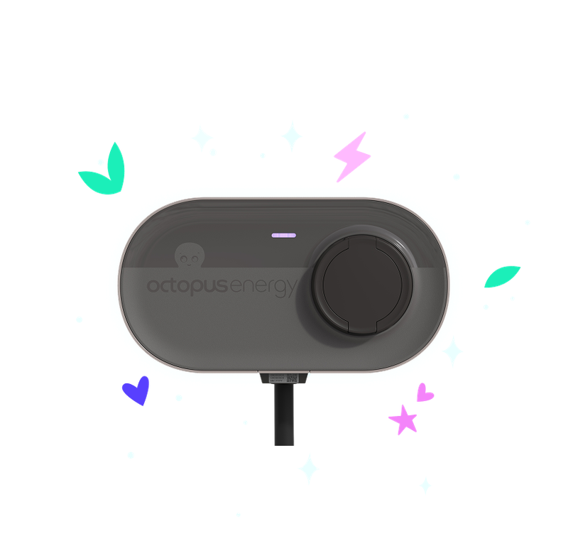 Grey Octopus Charge untethered