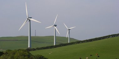 wind farm
