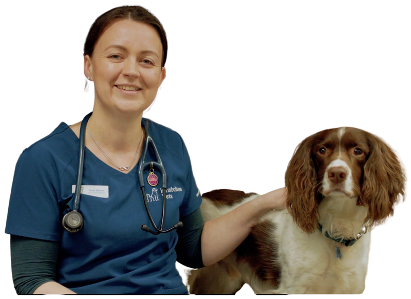 Becky from Kimbolton Vets with her dog Arthur