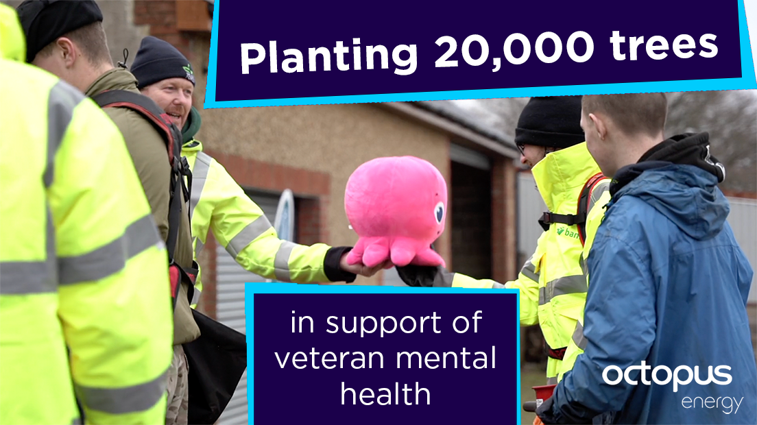 Planting 20,000 trees for mental health Energy News 247 Reliable