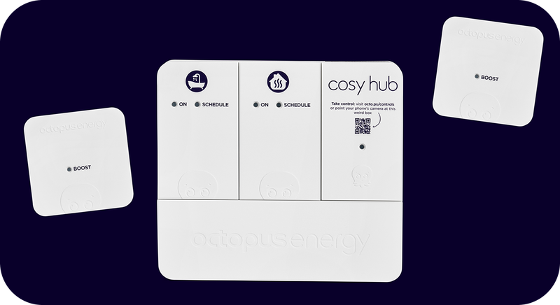 Person looking at Octopus energy app