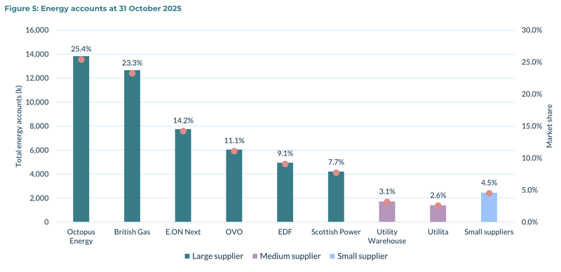 Market share by energy supplier