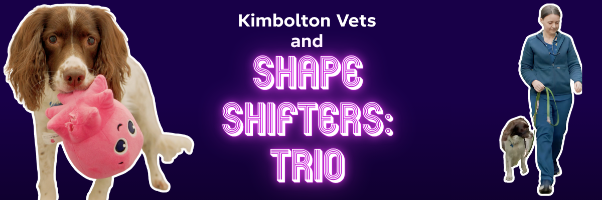 Kimbolton Vets Shape Shifters Trio blog header