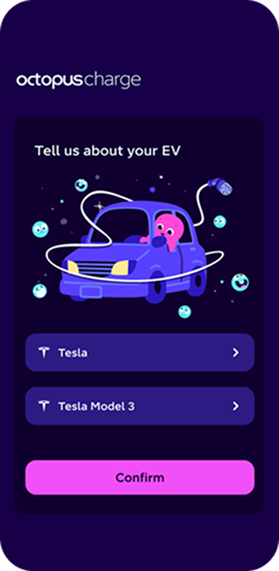 A screenshot of the T&C & Ohme Auth pages.