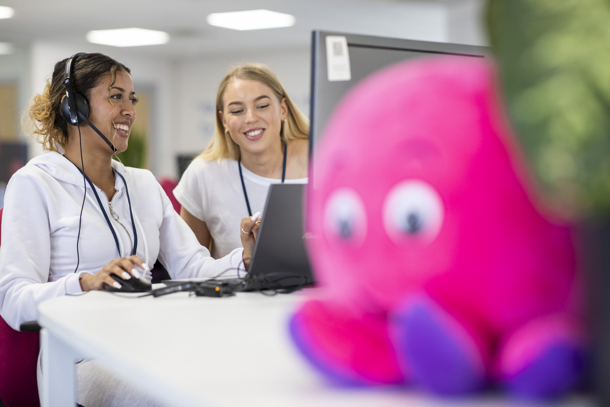 Brighton Octopus team in office with octopus toy and plant