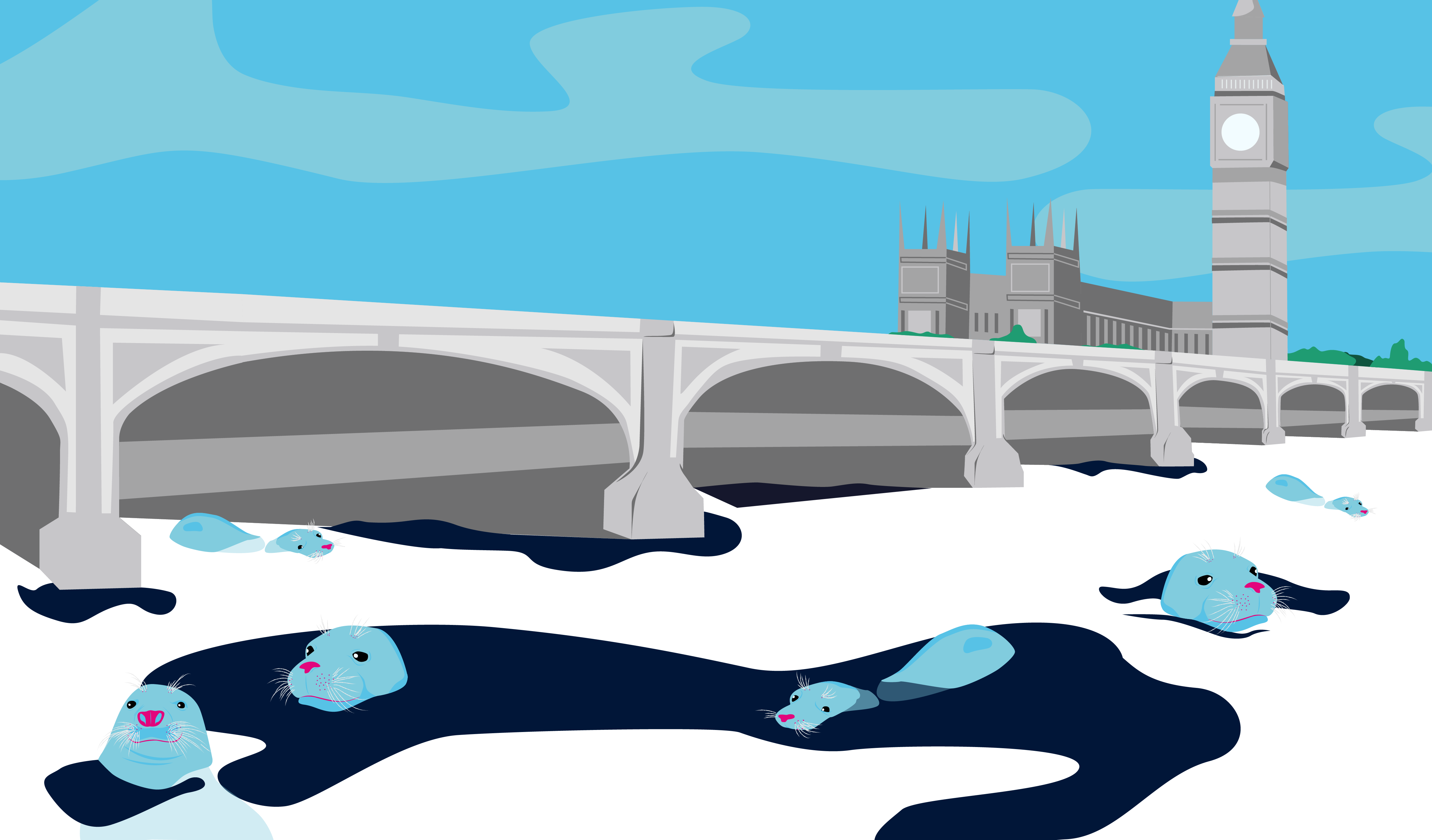 Seals swim in the River Thames