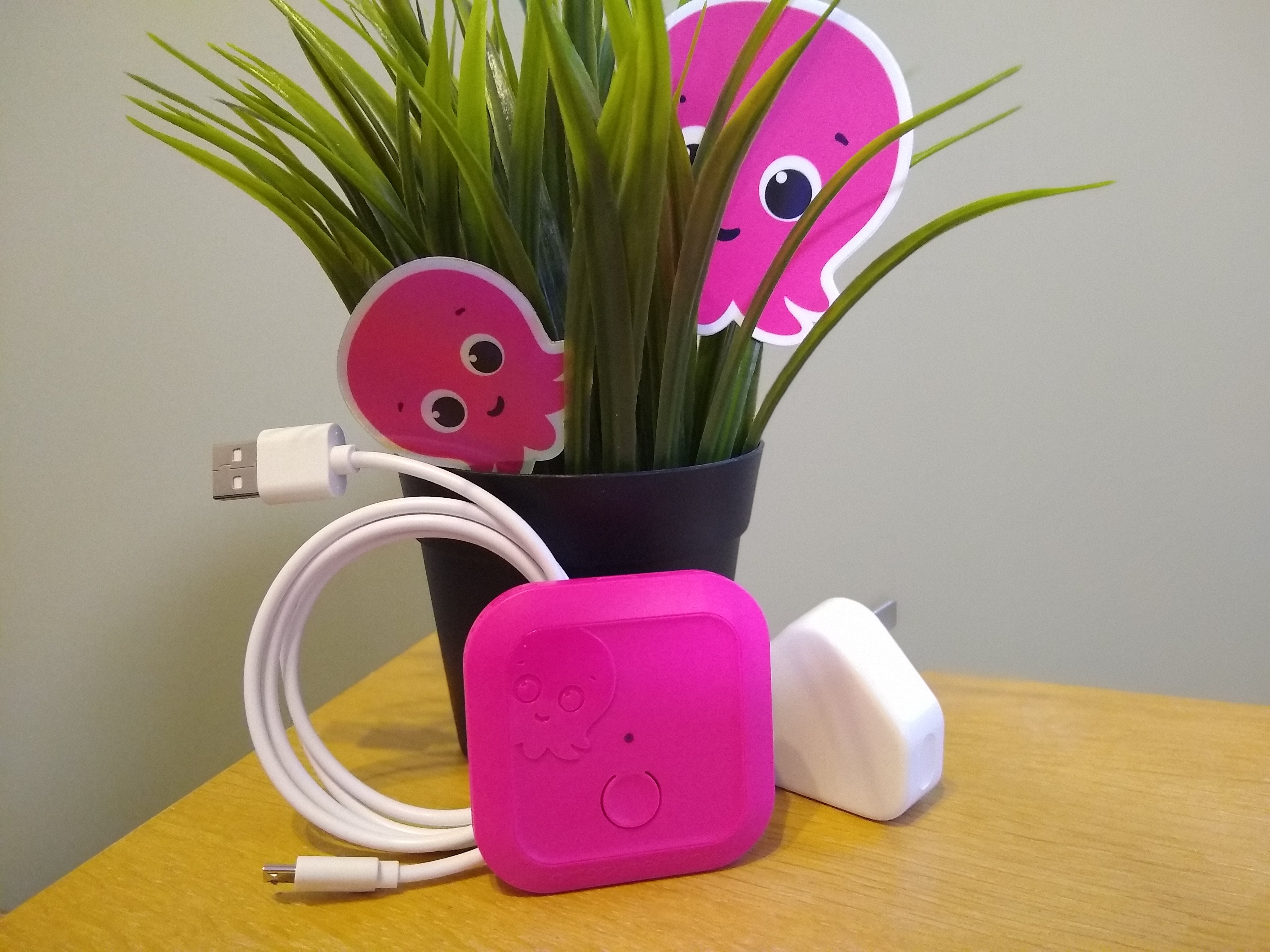 Octopus Home Mini devices laid on a work desk at the Office