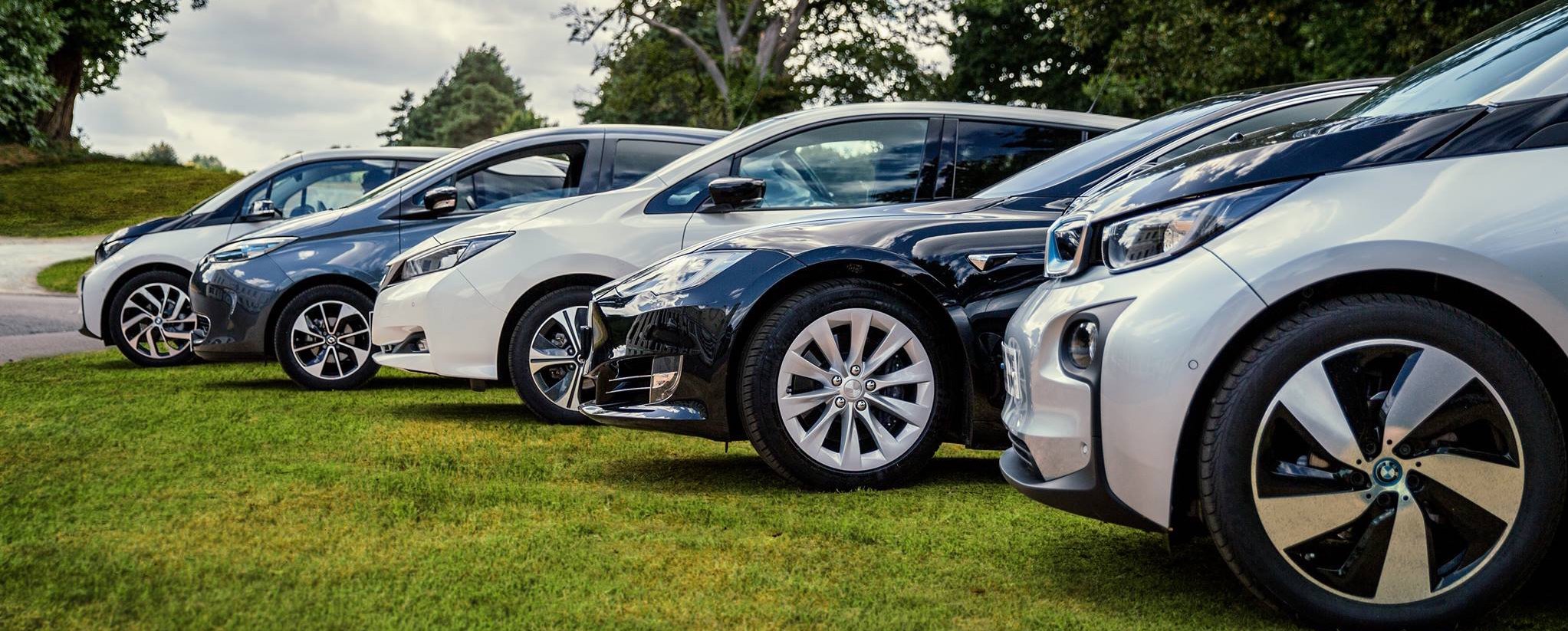 EVs on a lawn