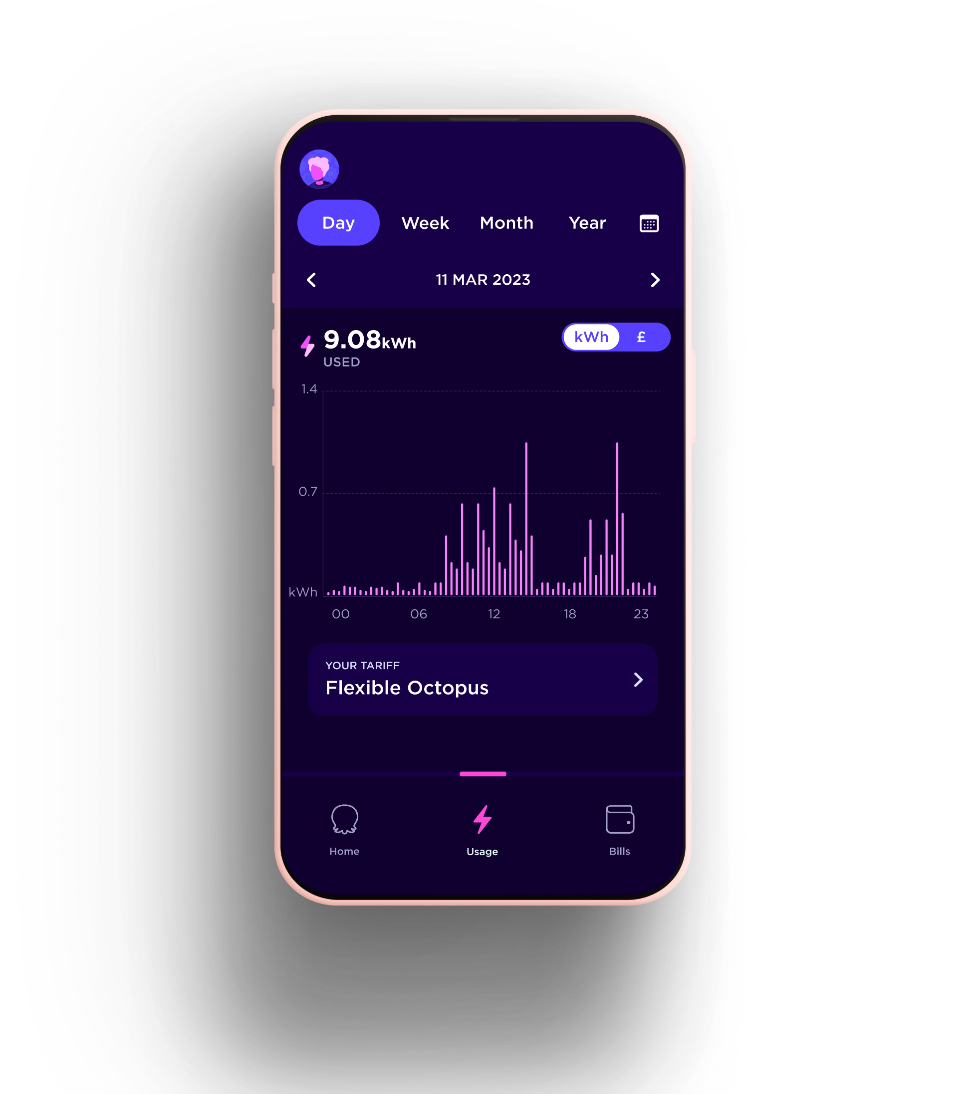 Day view on the Octopus app