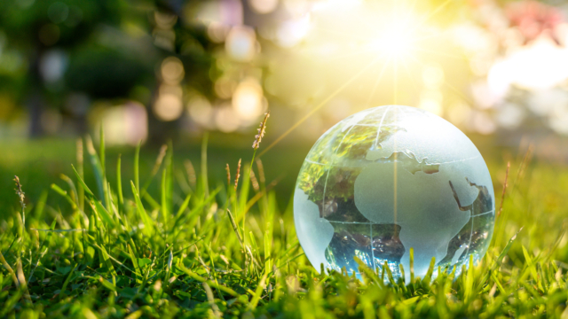 An Image of Earth