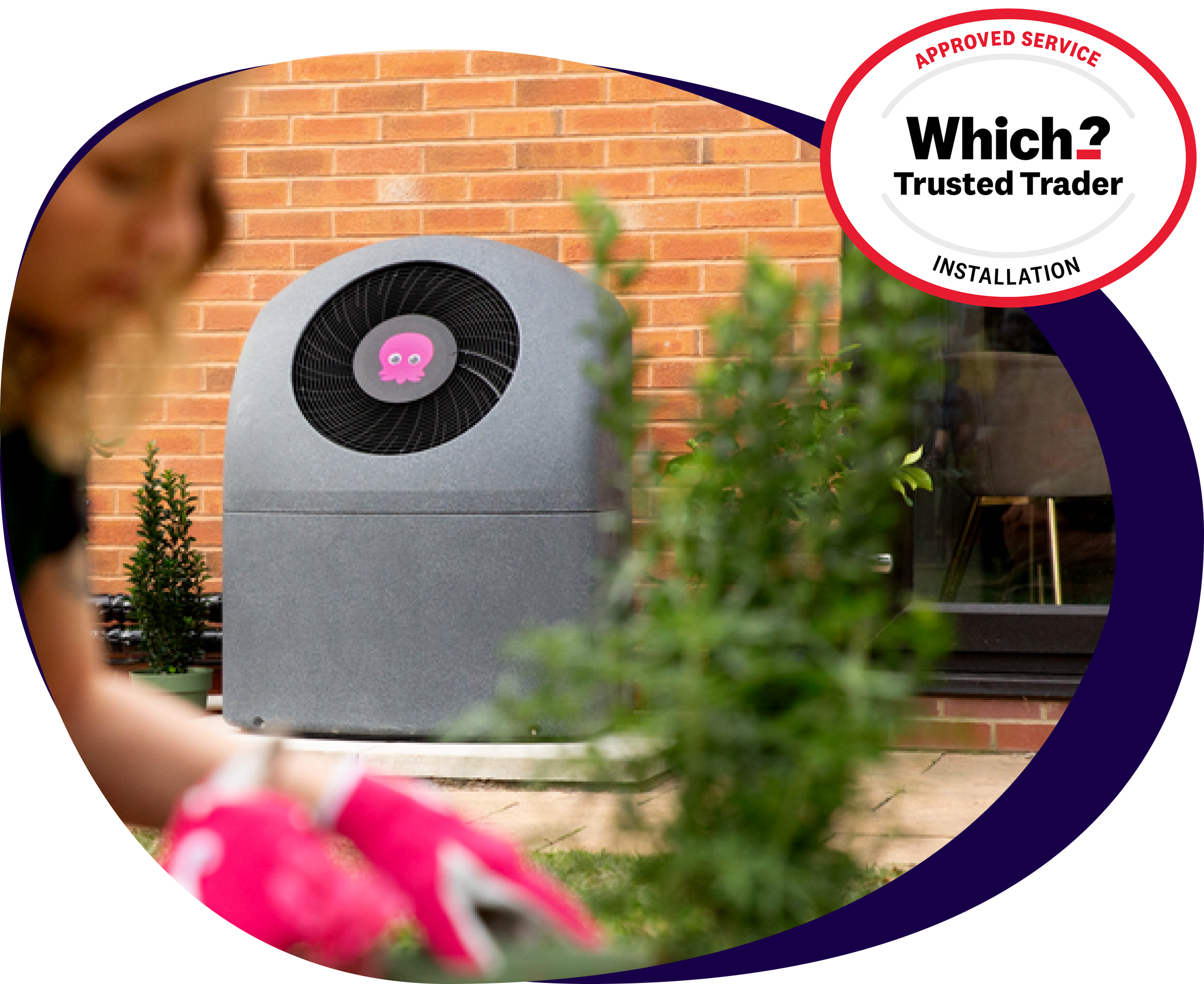 Constantine and Cosy