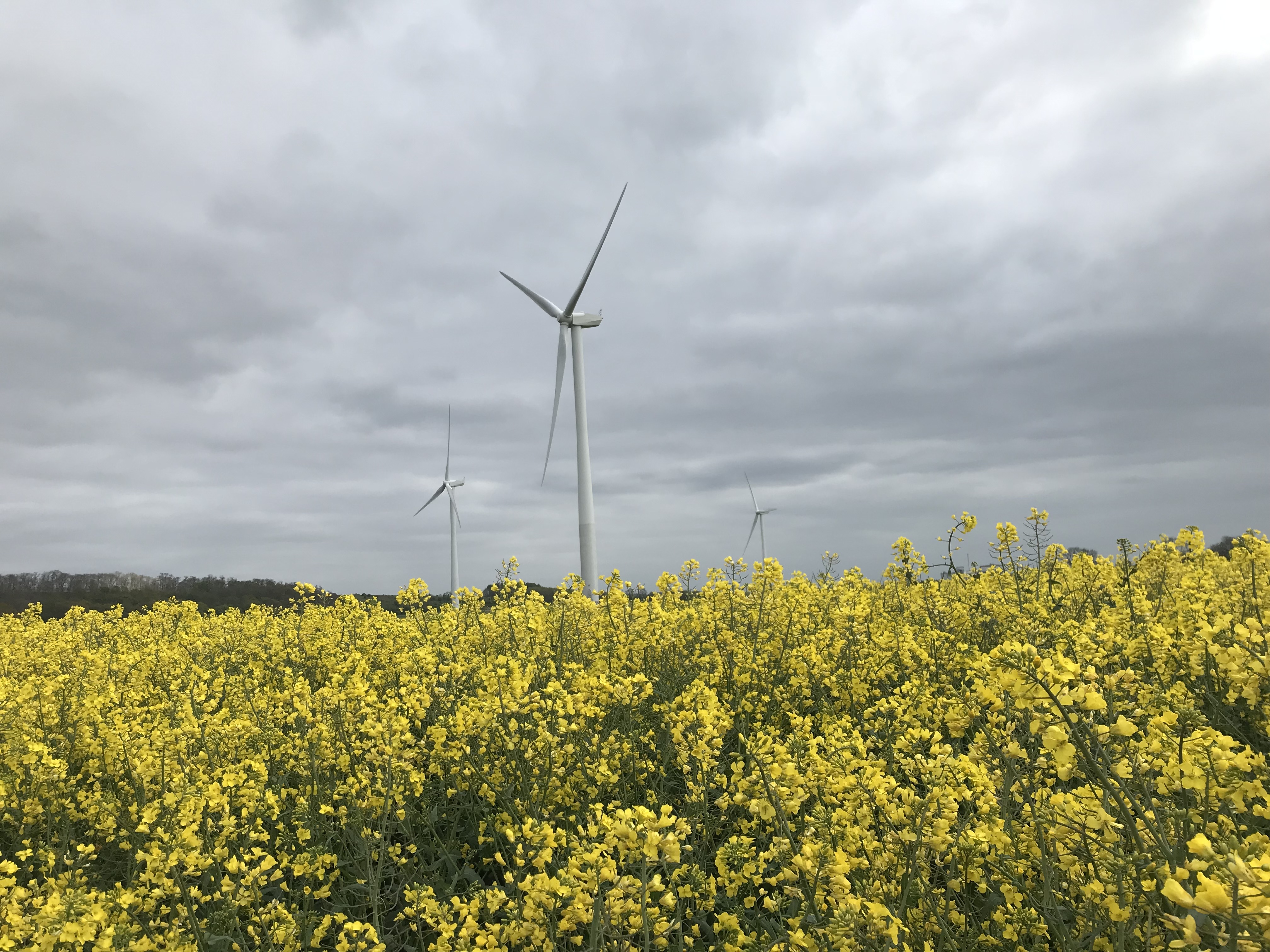 Our Grange Wind Farm in Hull