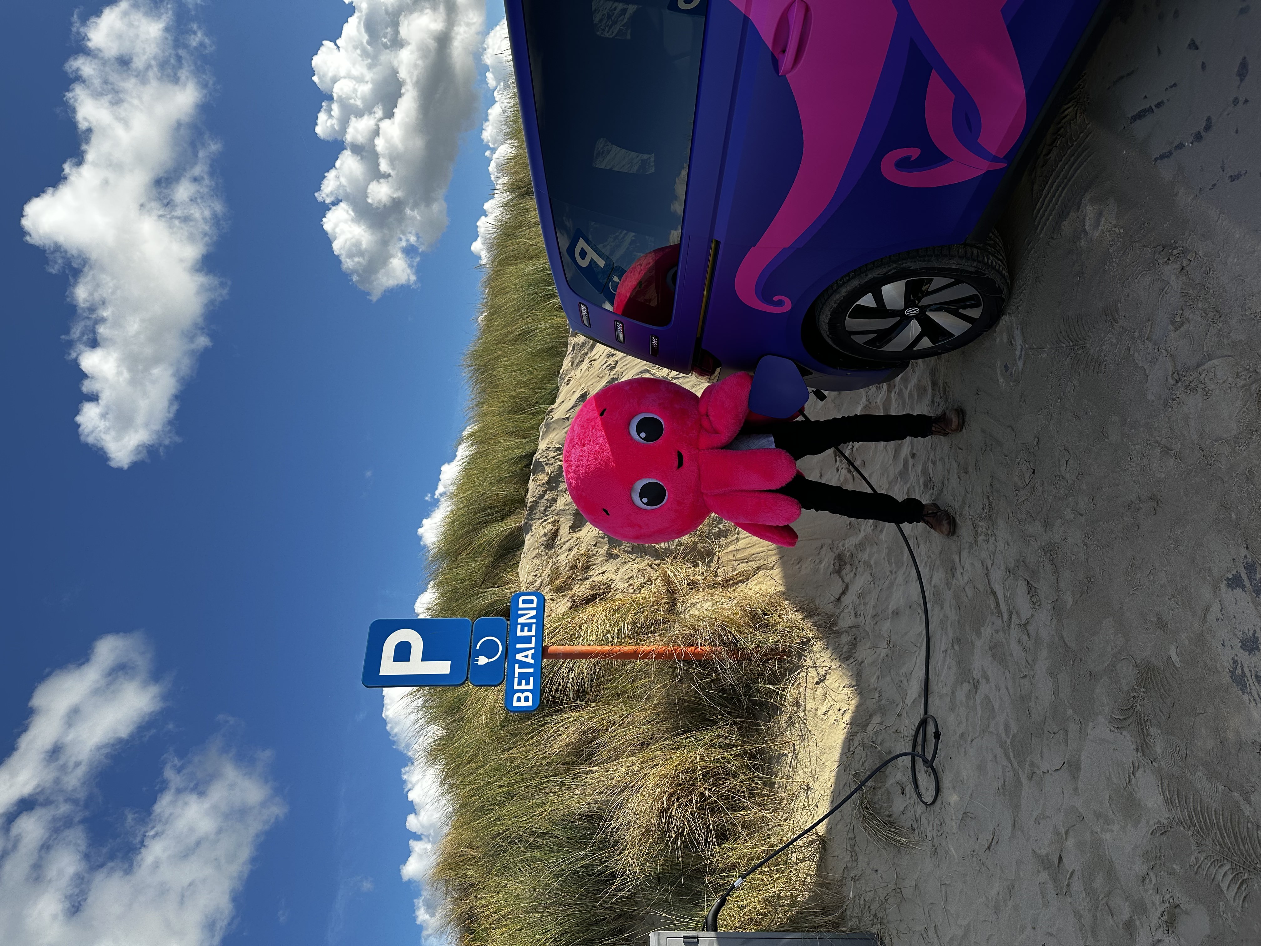 octopus in europe car