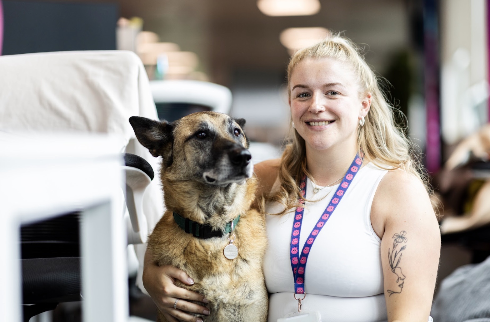 leicester office dog