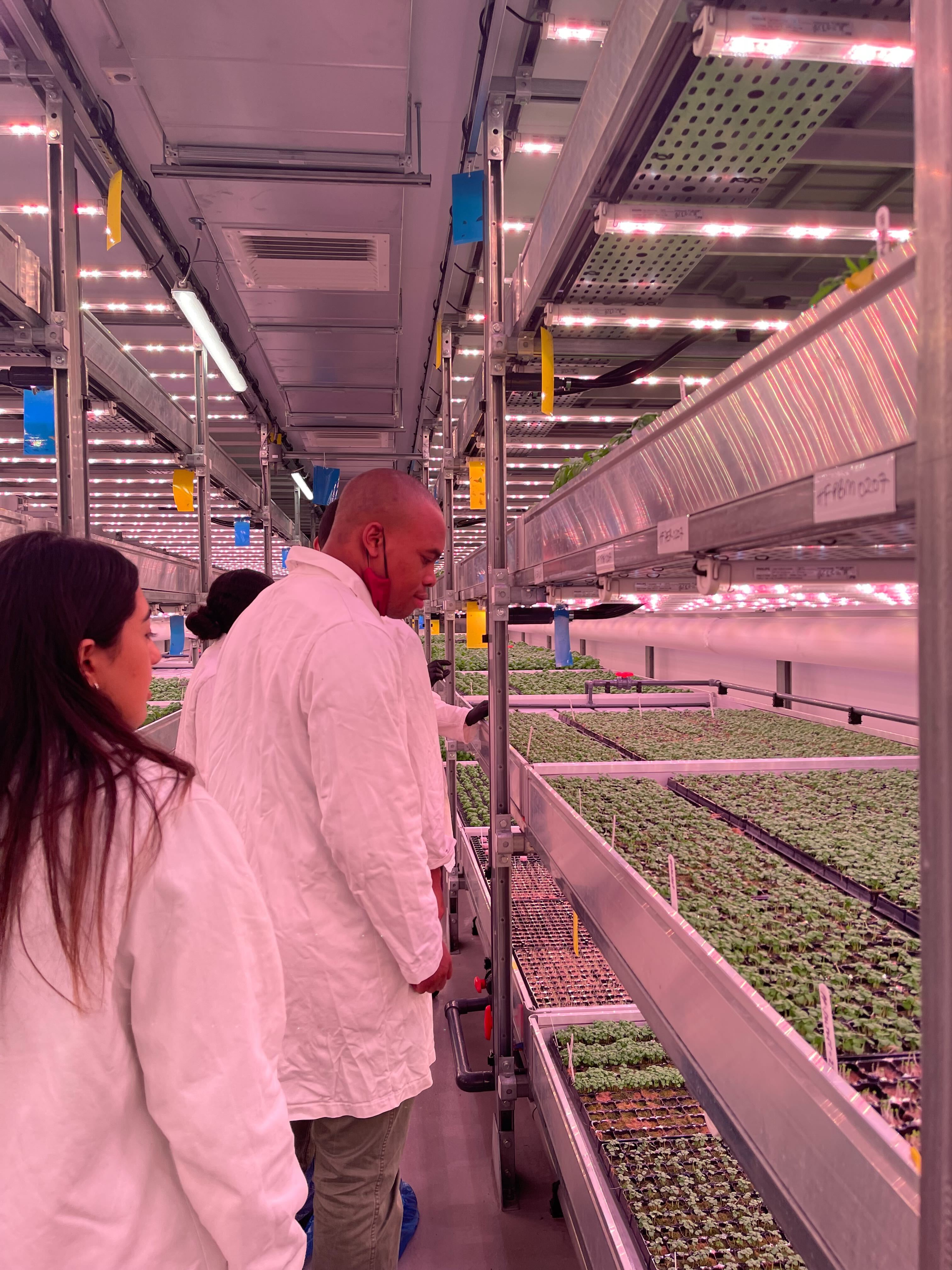 the interns visit vertical farm