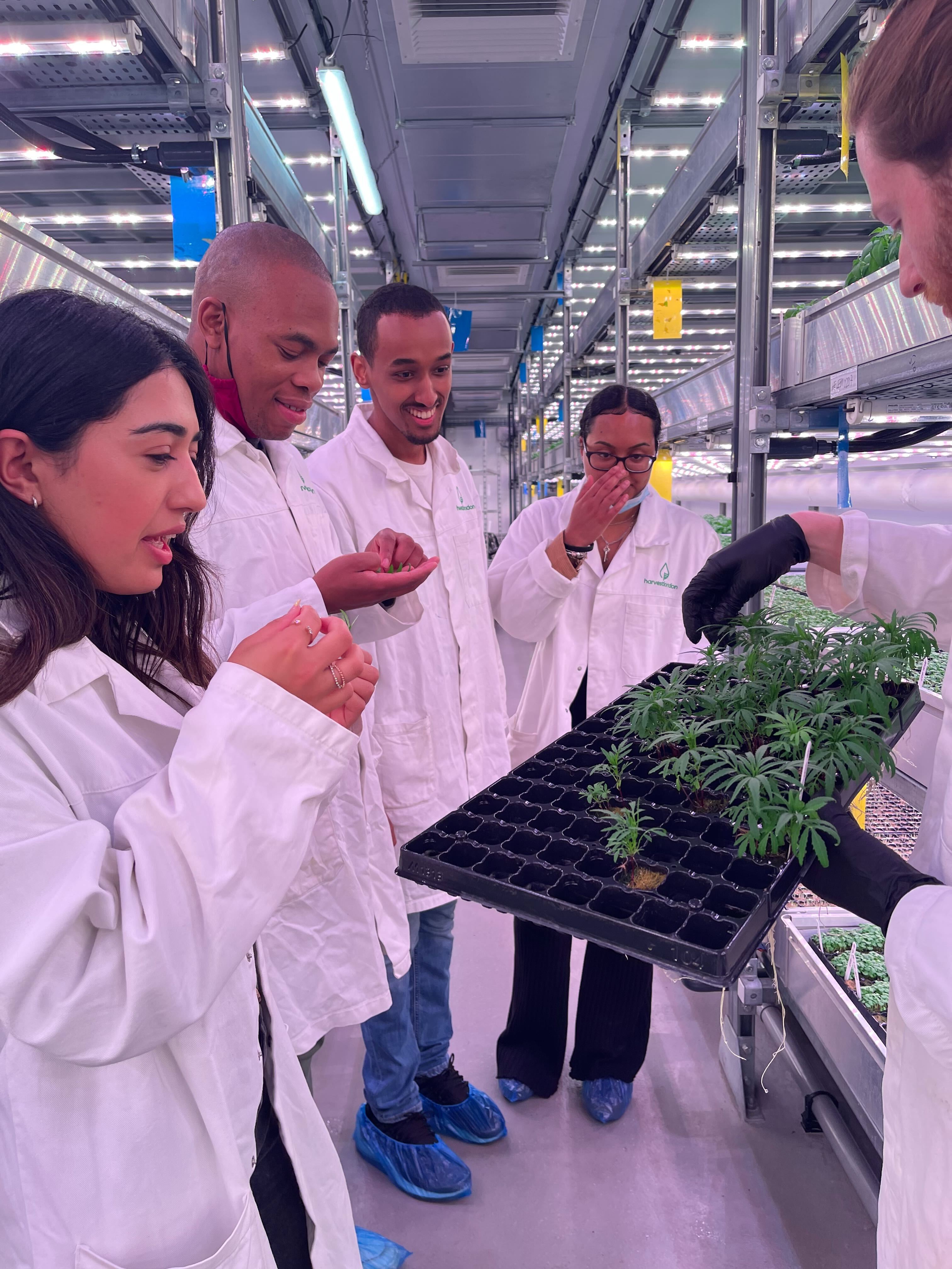 The Team visiting the vertical farm