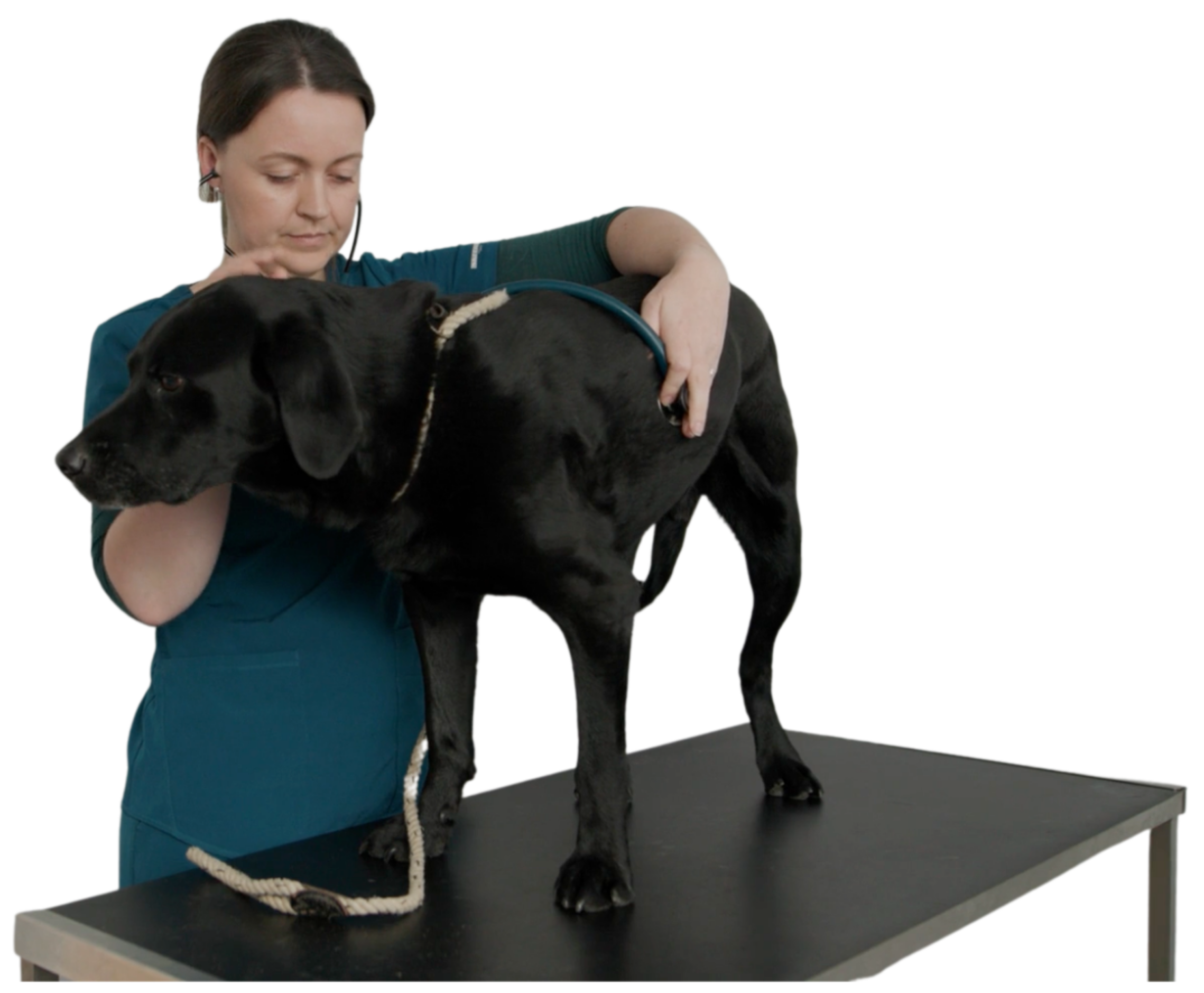 Becky the vet with a patient