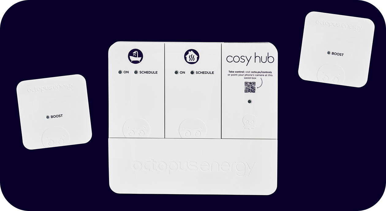 Person looking at Octopus energy app