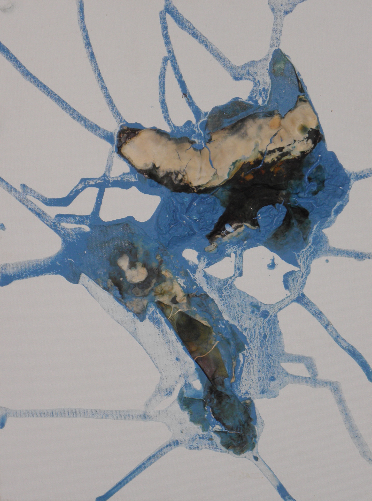 A painting by Geoff Francis titled "melting ice caps"