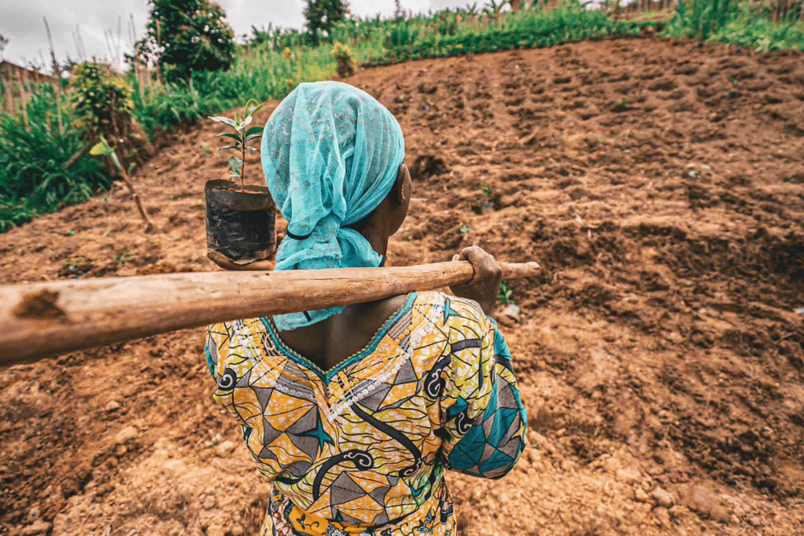 An image of a woman heading to plant a tree for International Women's Day