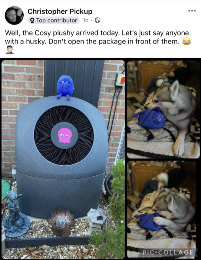 Customer photo: Husky playing with Rosie the Cosy plushie