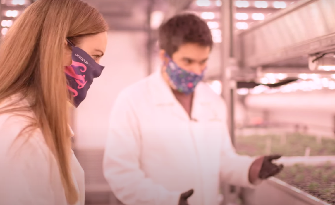 An image of two vertical farmers in an underground vertical farm