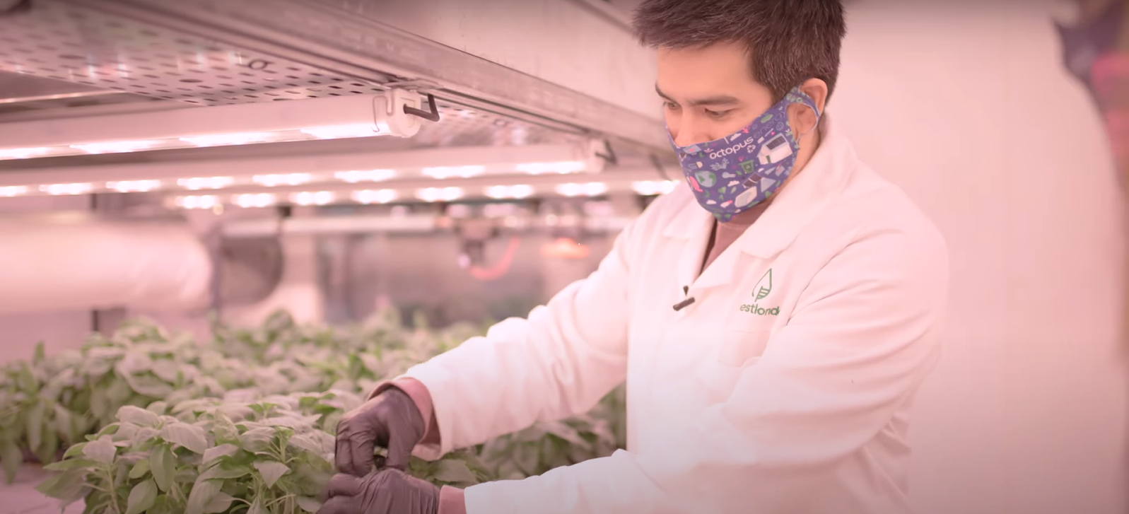 vertical farm