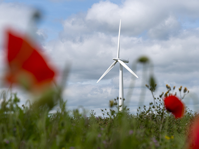 Wind turbines on a field of wildflowers