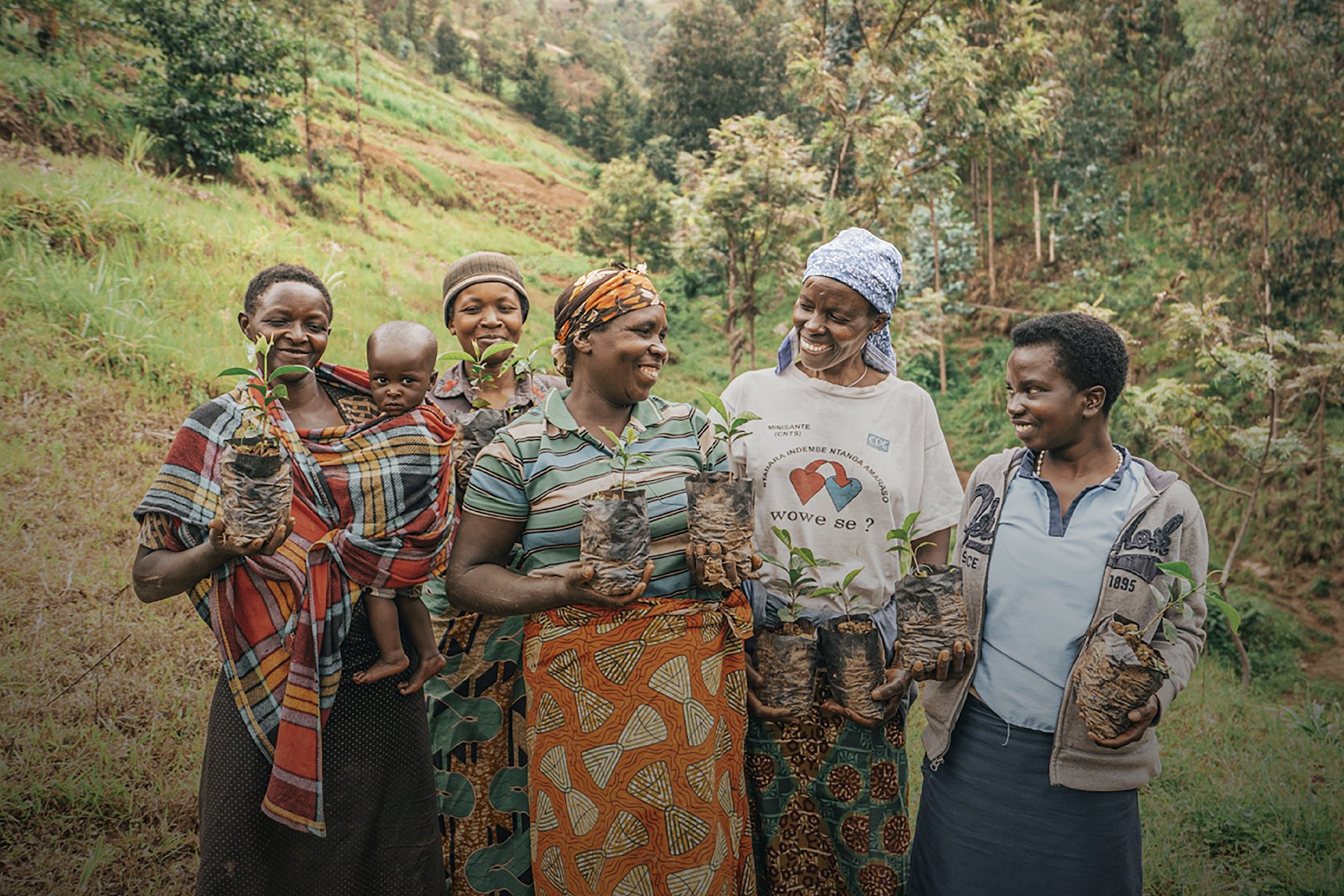 Women planting trees and celebrating International Women's Day