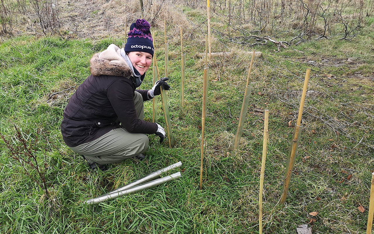Aimee from Octopus takes a break from heat pumps to get stuck in to tree planting.