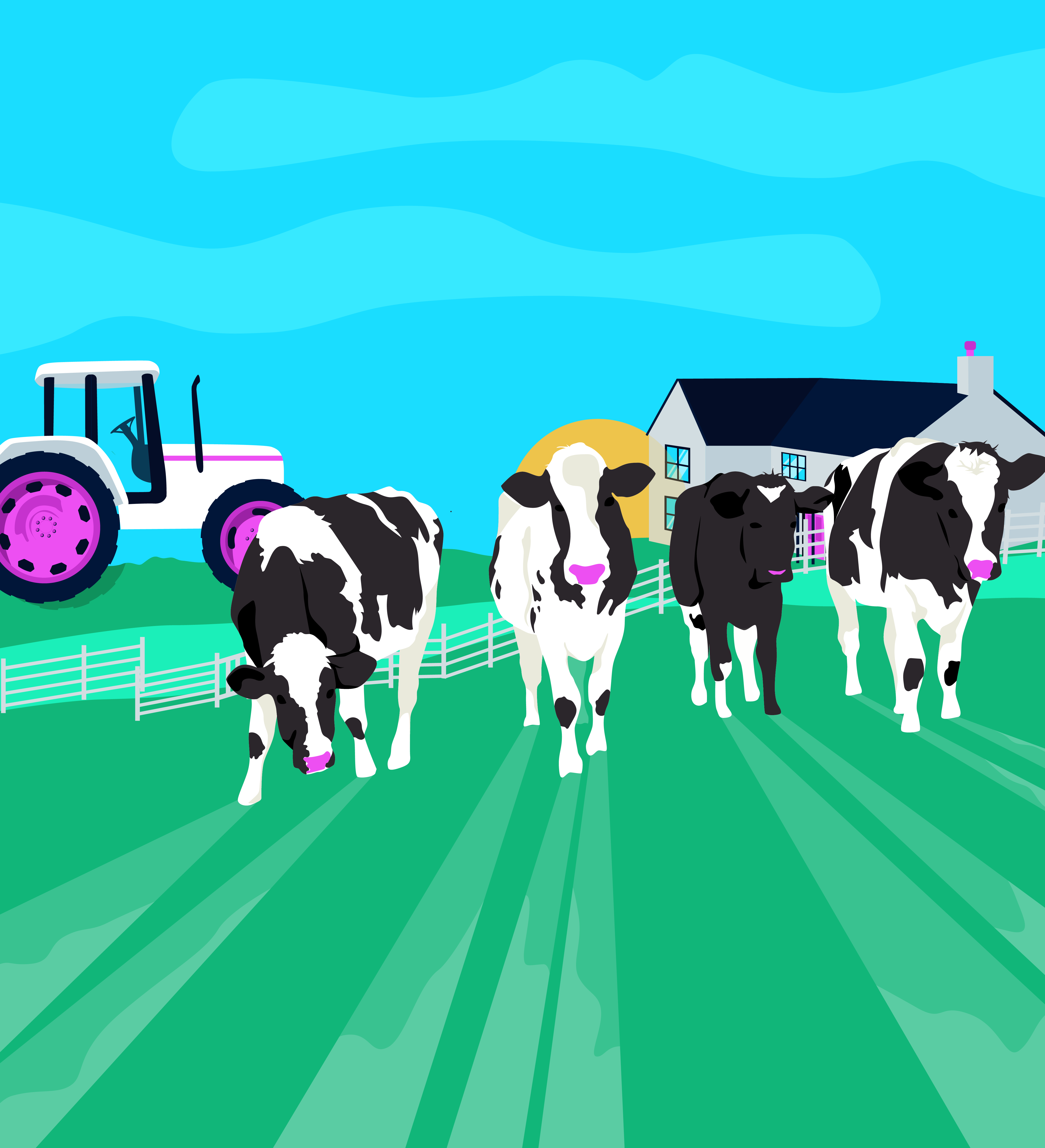 An image of a biodiverse farm