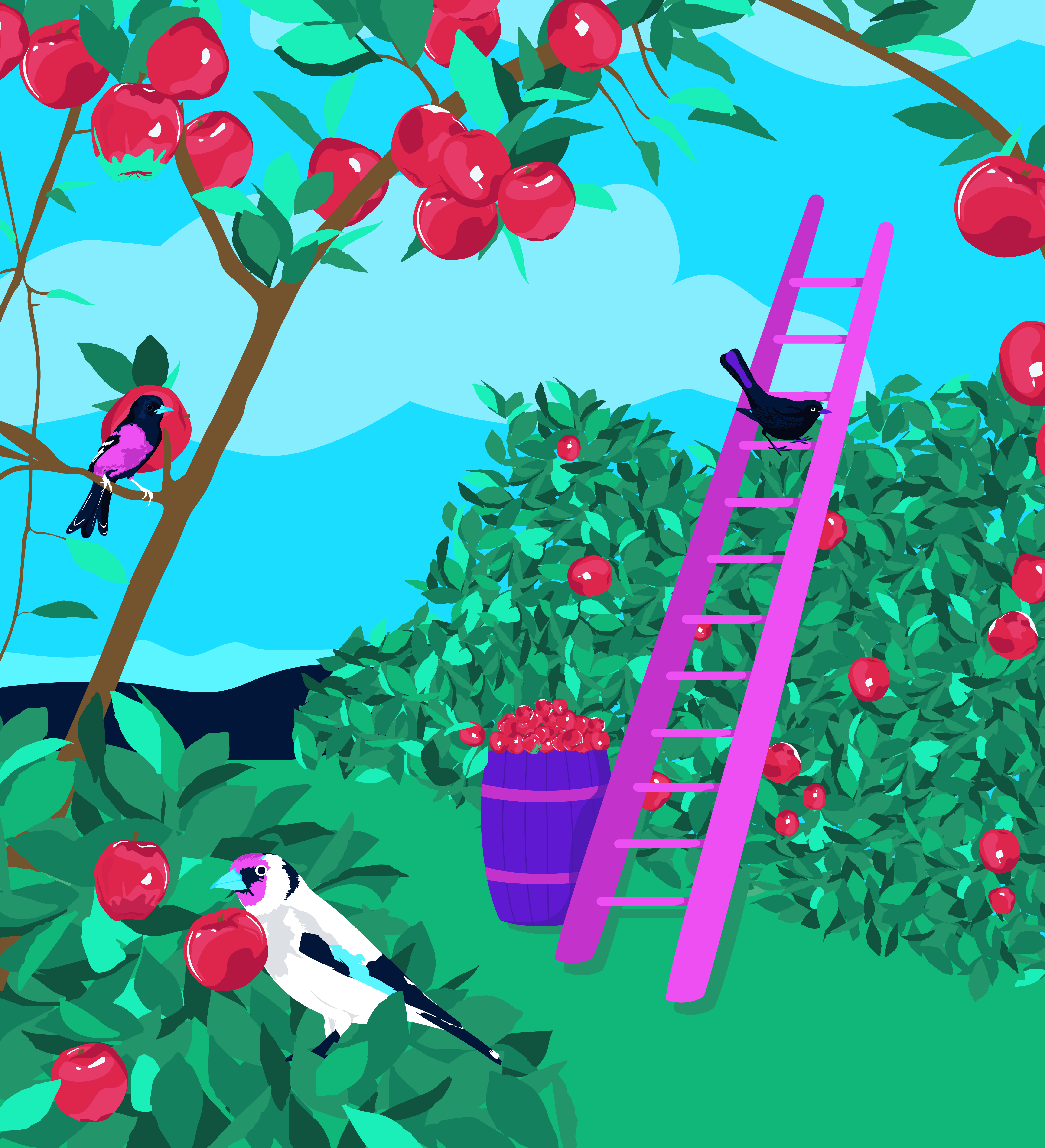 An image of a lush apple orchard