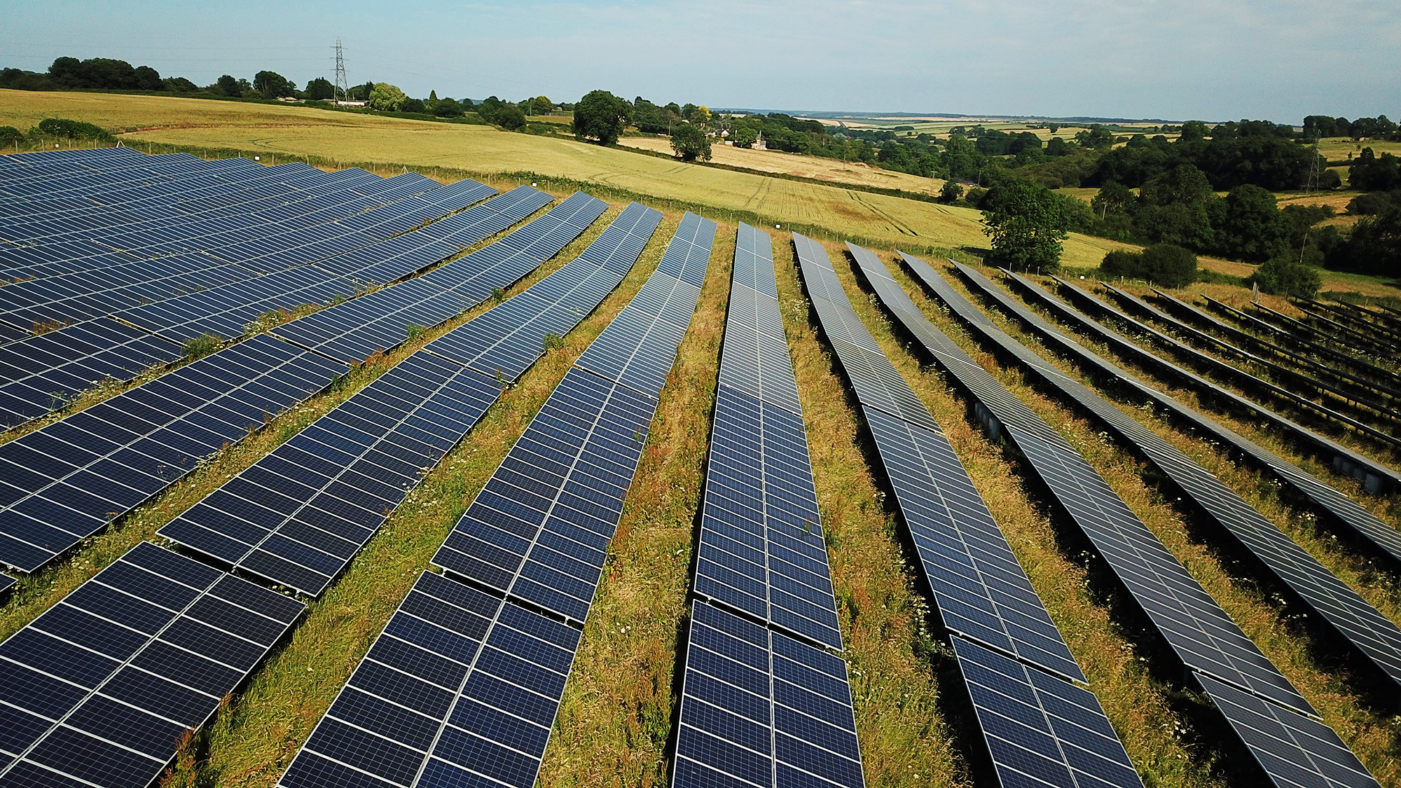 solar farm with native plants