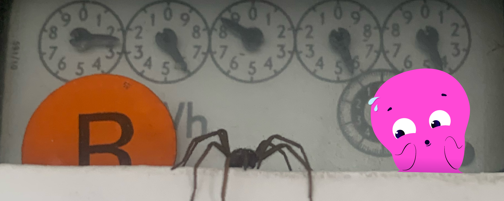 Large spider on a customers meter